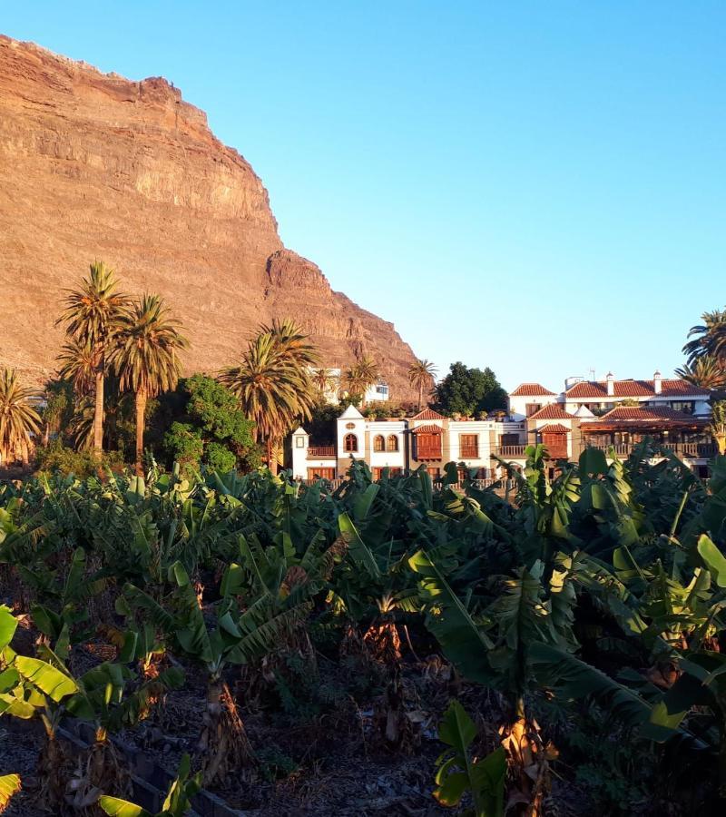 Finca Borbolan Y La Roseta Valle Gran Rey Buitenkant foto